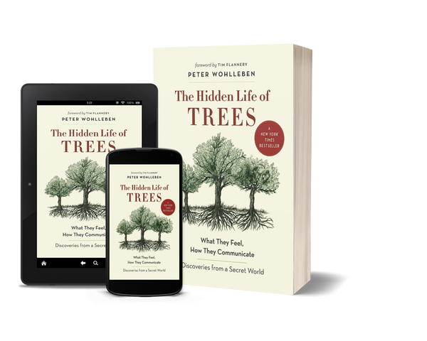 The Hidden Life of Trees What They Feel, How They Communicate by Peter Wohlleben