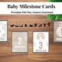 Baby Milestone Cards