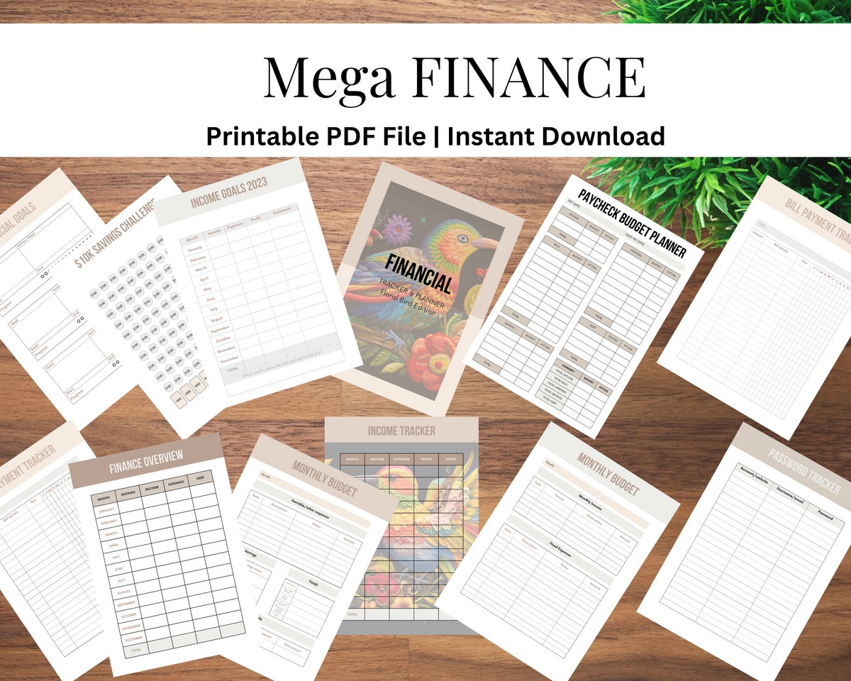 Mega Finance Templates