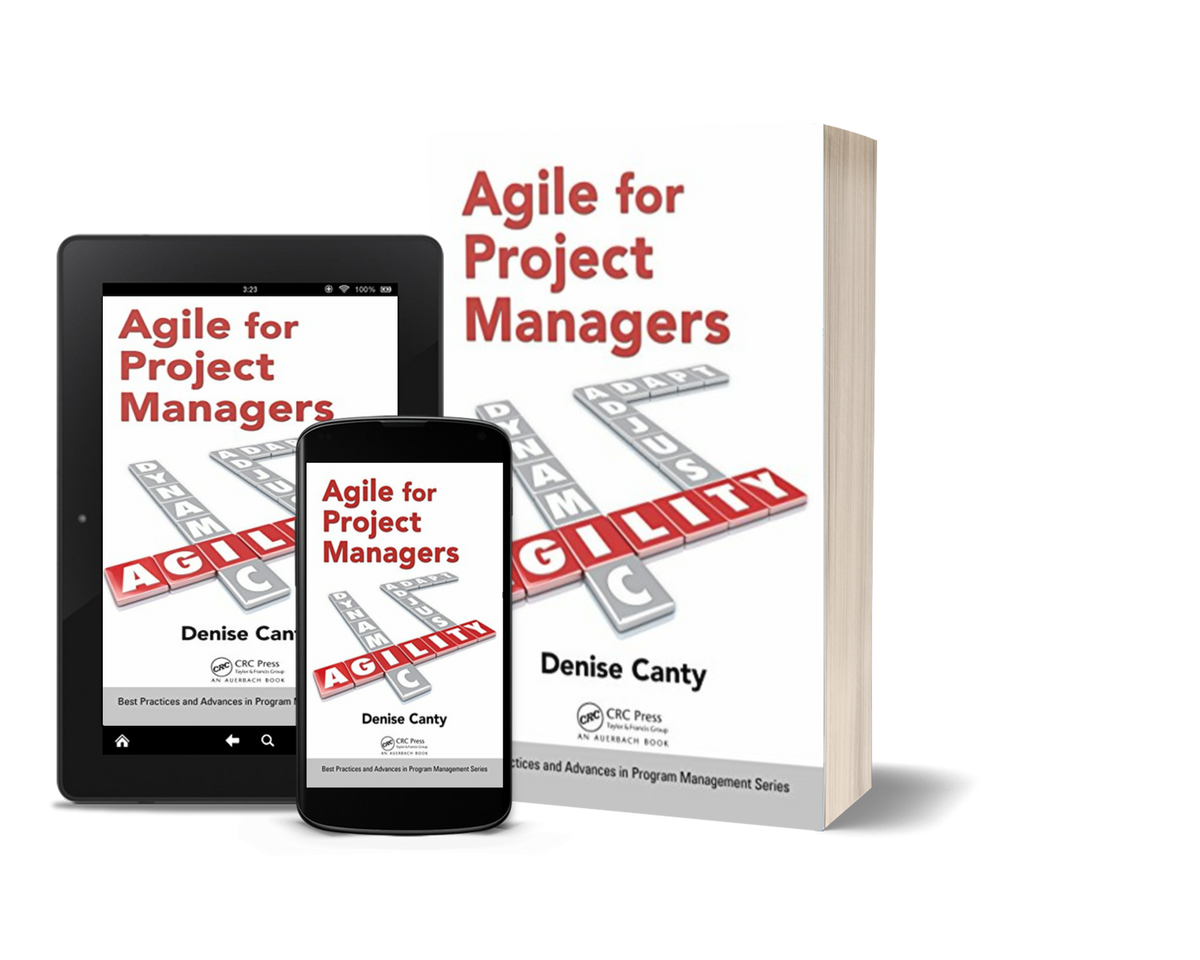 Agile for Project Managers (Best Practices in Portfolio, Program, and Project Management) by Denise Canty