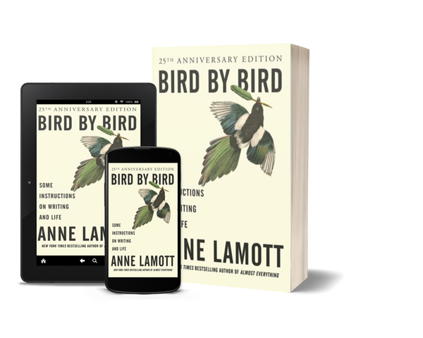 Bird by Bird: Some Instructions on Writing and Life by Anne Lamott