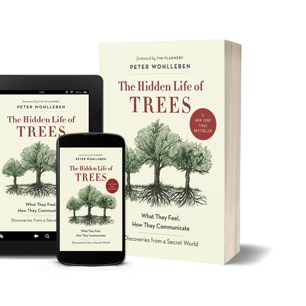 The Hidden Life of Trees What They Feel, How They Communicate by Peter Wohlleben