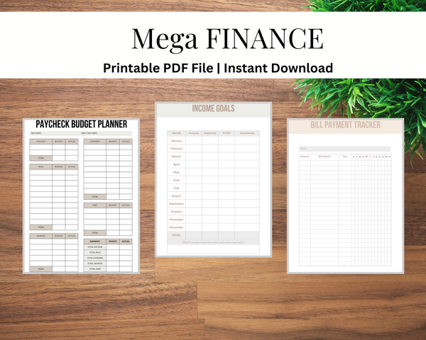 Mega Finance Templates